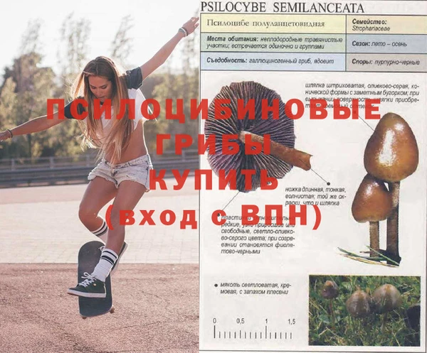 кокаин перу Бородино