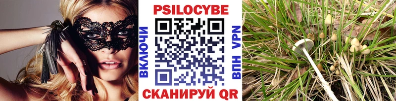 закладки  Санкт-Петербург  Псилоцибиновые грибы мицелий 